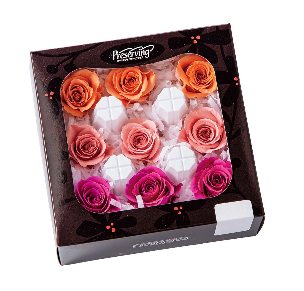 4988489300100_3484-230