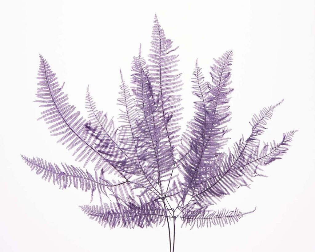 4988489308700_50296-461