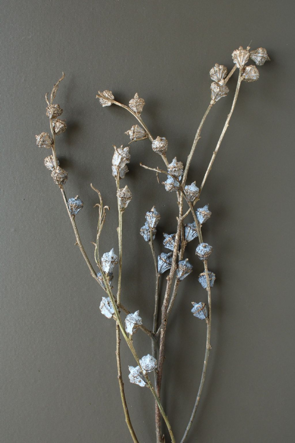 4988489306249_40230-092