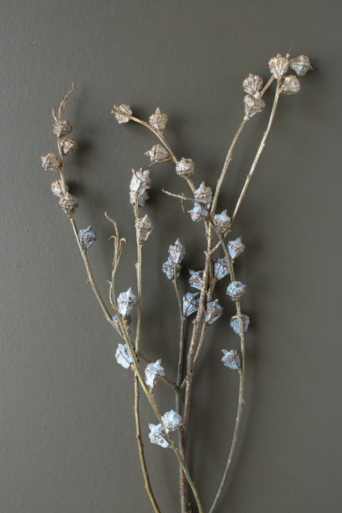 4988489306249_40230-092