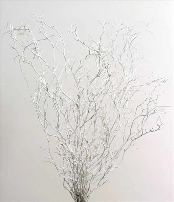 02740-012