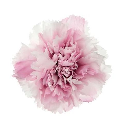 02182-150