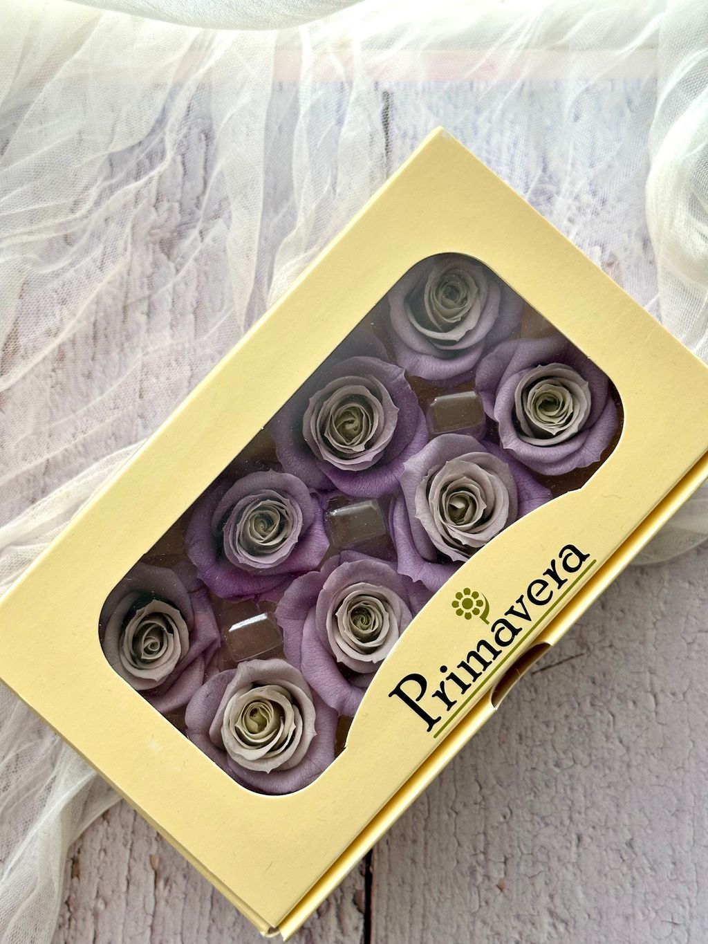 image_CFF75352-2EF5-47CF-8858-BFC589AA7875_1751956856