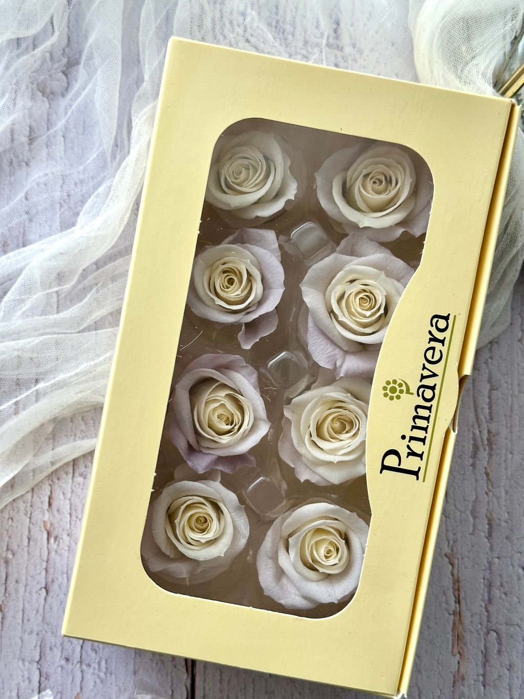 image_22F24968-72EA-412E-ADB7-808BB1CD2E9B_1751957789