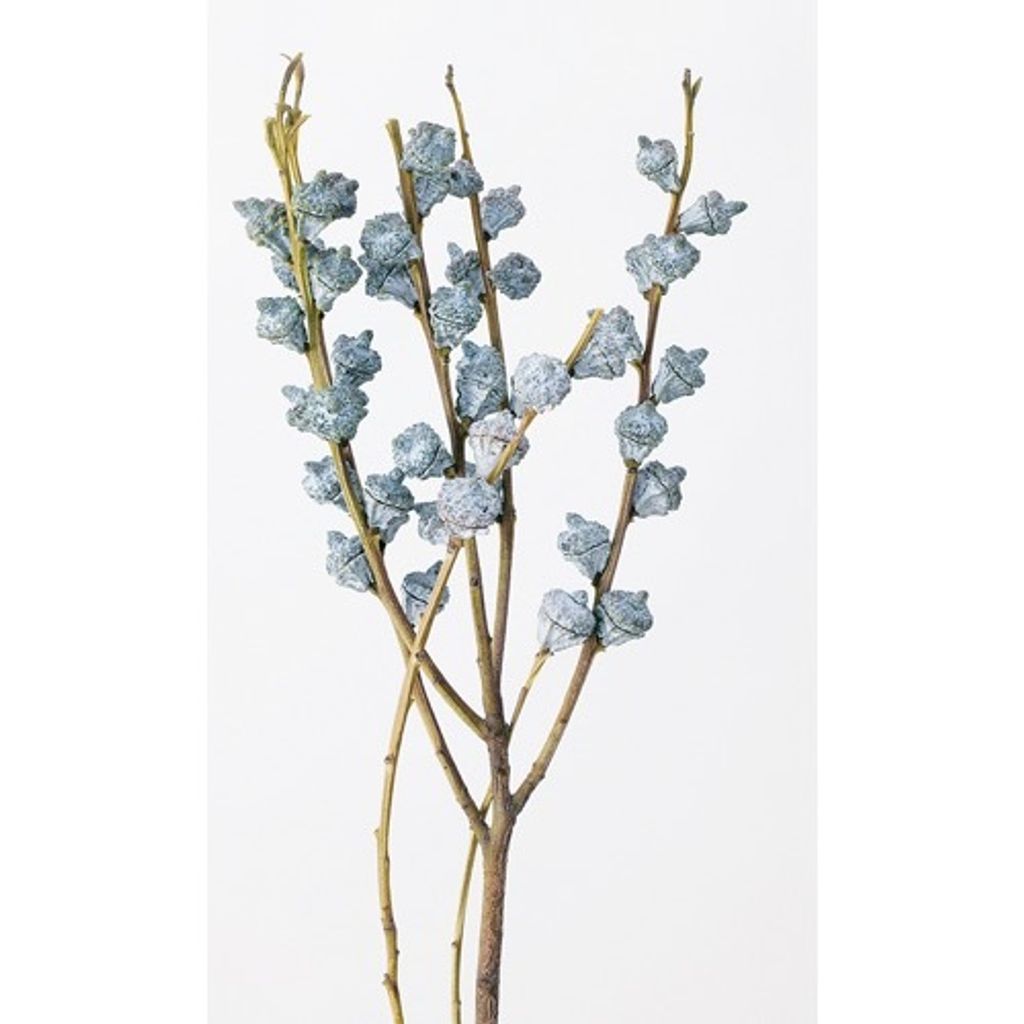 image_BFB9D9C2-79B8-451D-AE08-0625BEA72A41_1752720274