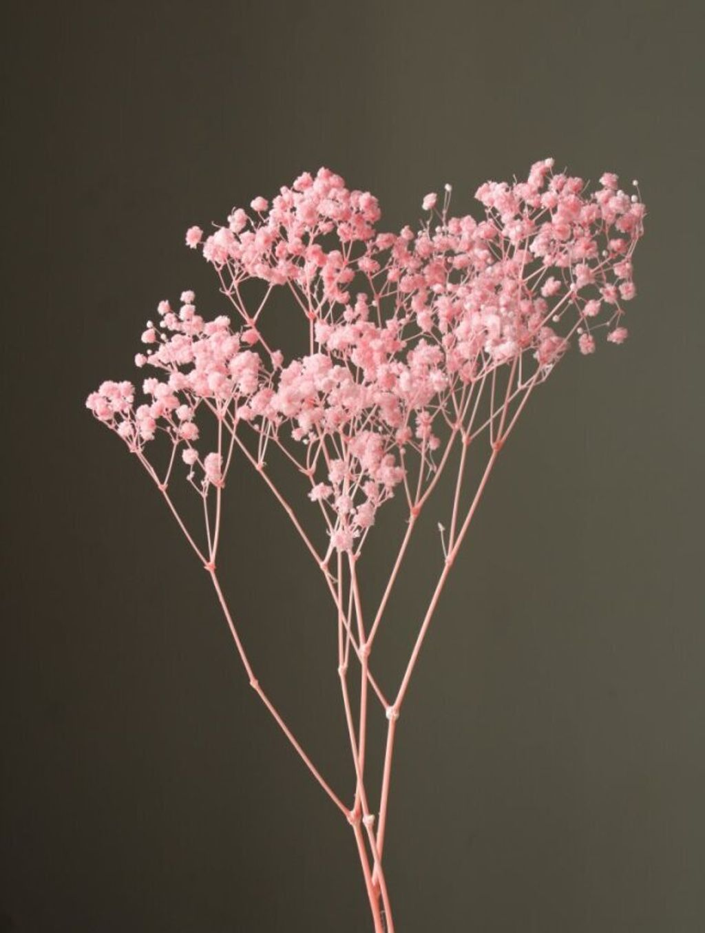 00042-101