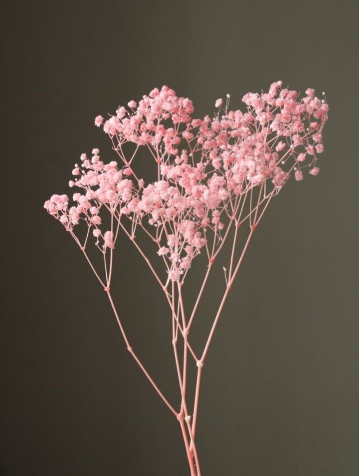 00042-101