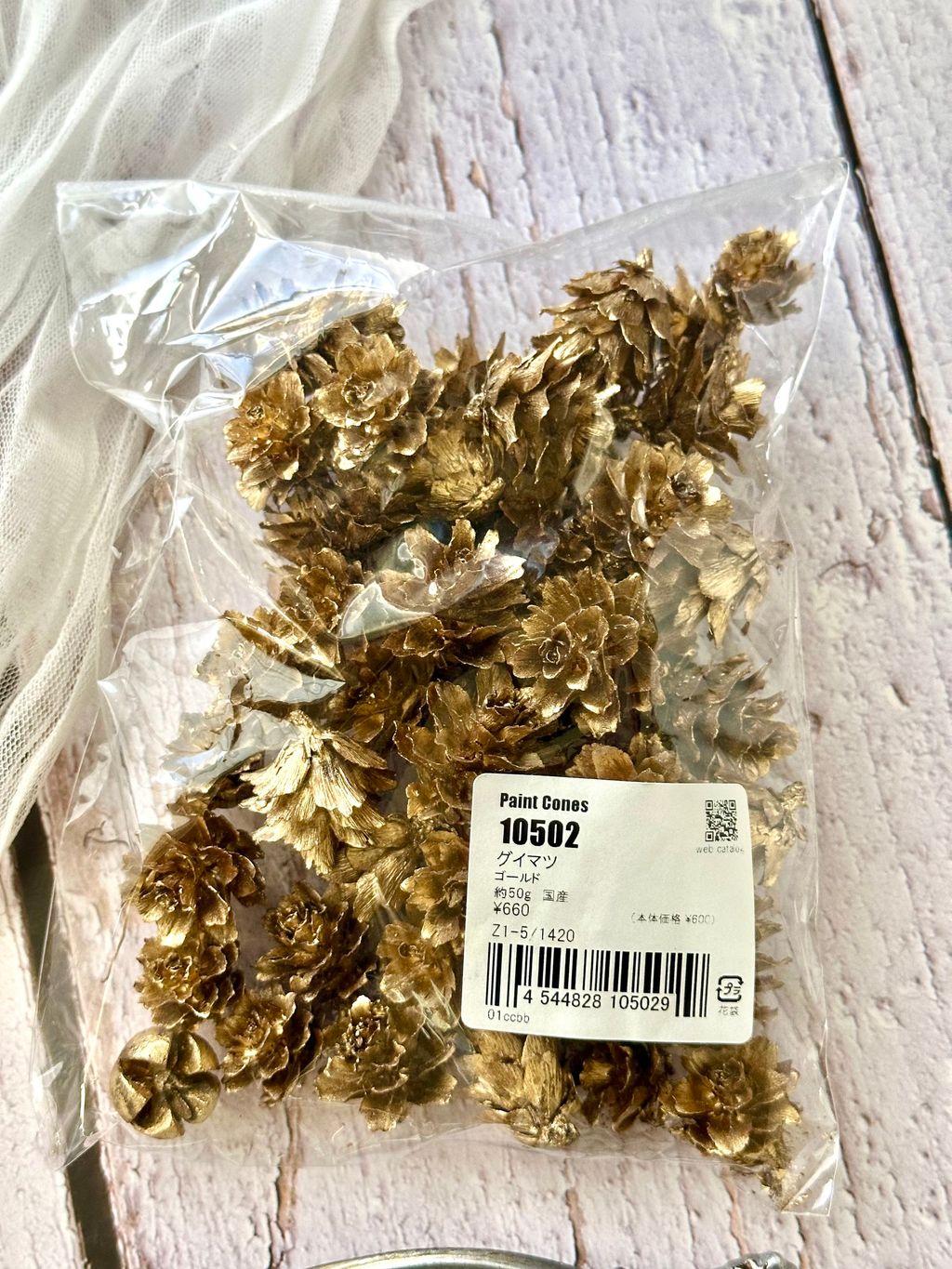 image_620C9D8C-EEBB-44C5-A13D-3C797CD05E92_1765846942