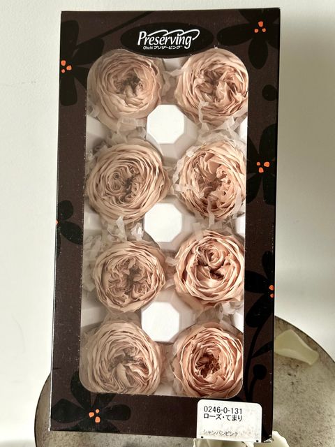 image_62ACCED3-D9AF-450D-864B-6F9FB6A8A3CB_1766121672