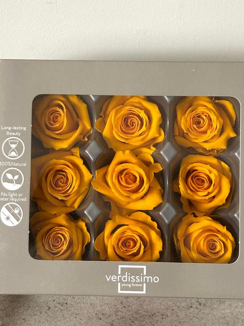 image_5F6C8E8A-E285-4079-9A5D-9C54073910A5_1766122545