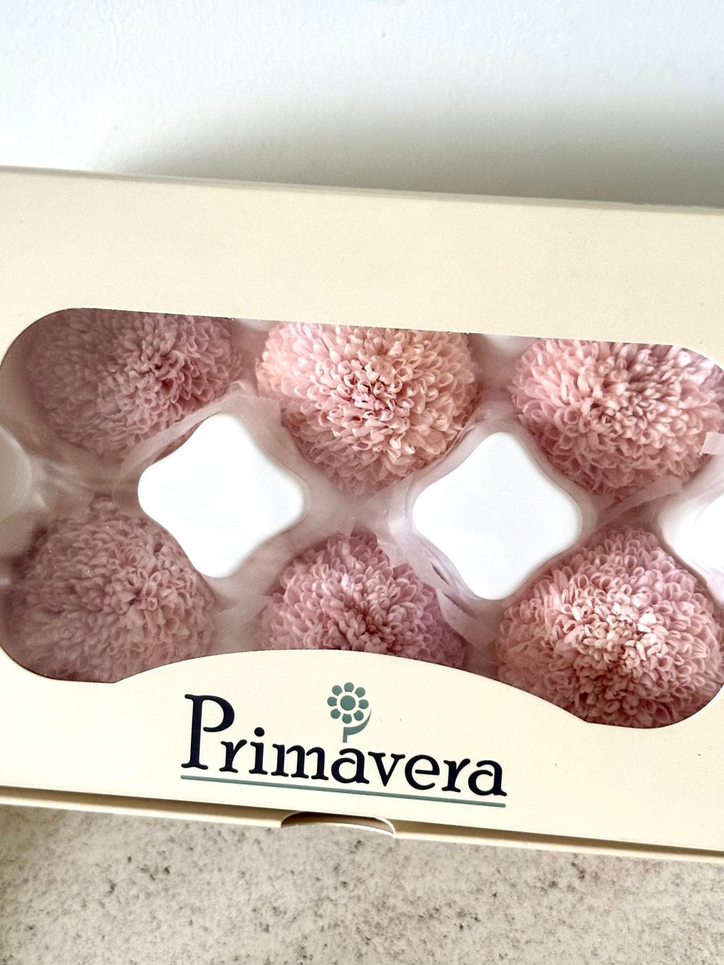 image_5E3B3145-C295-4C25-8878-6611092810DA_1766123603