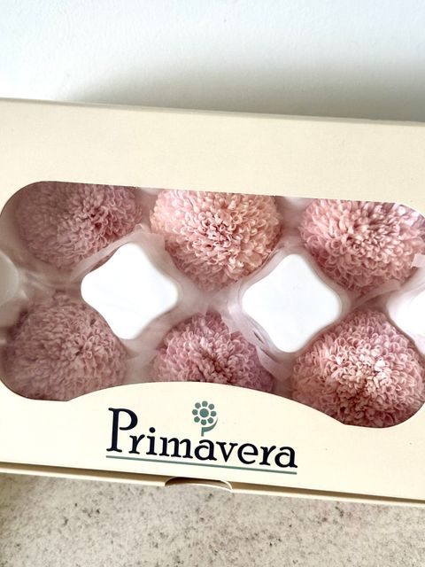 image_5E3B3145-C295-4C25-8878-6611092810DA_1766123603