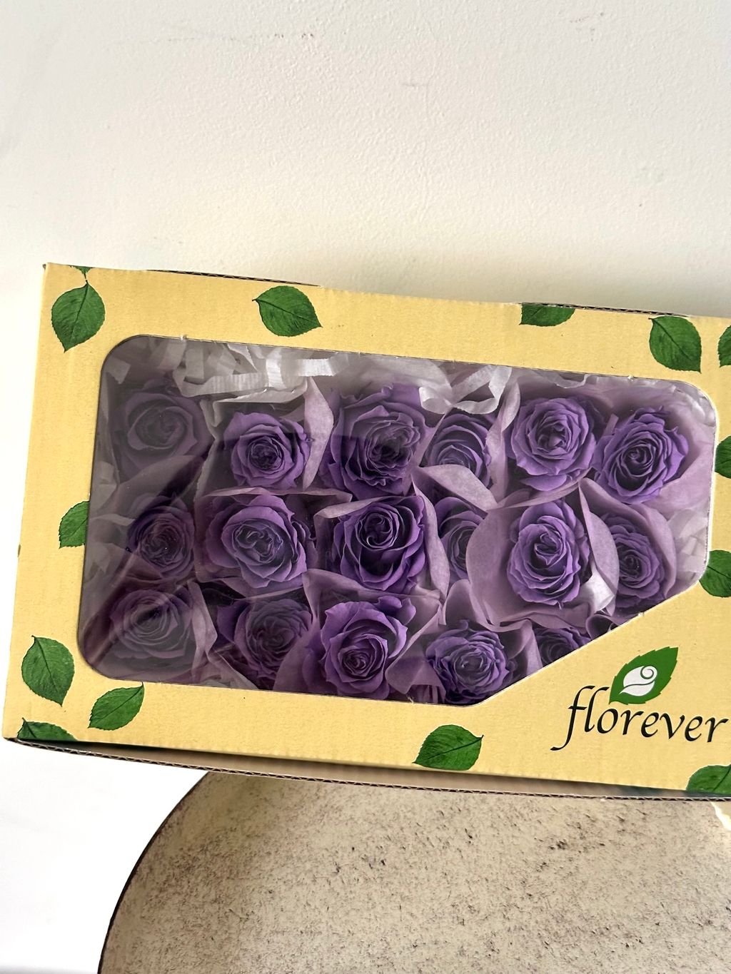 image_E9E04C5D-B9F0-4265-8E62-ABD03BC1E4D4_1766124442