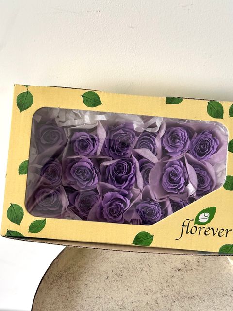 image_E9E04C5D-B9F0-4265-8E62-ABD03BC1E4D4_1766124442