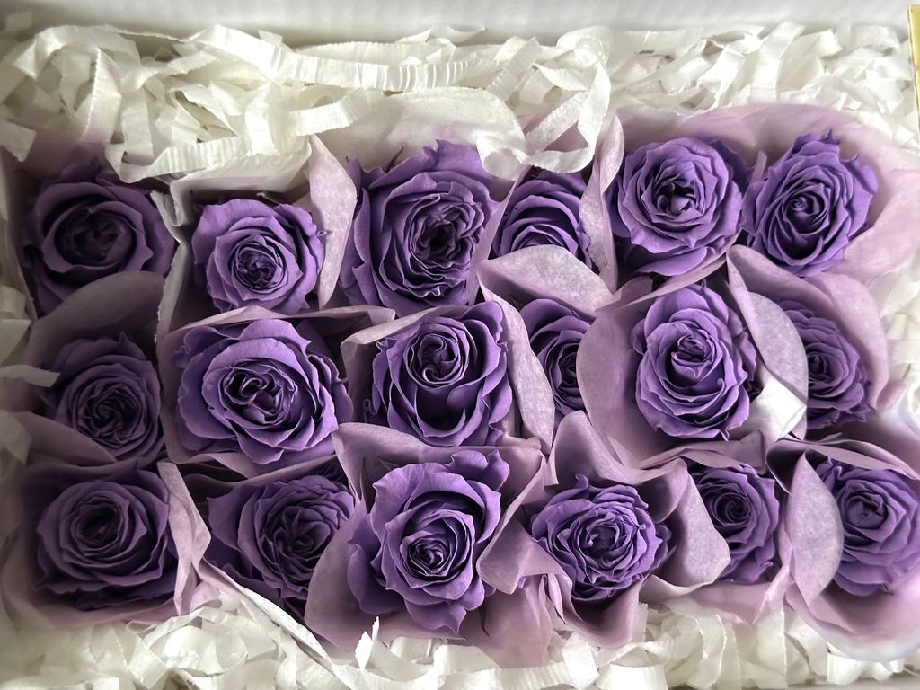 image_E1C12073-9129-4B4A-85DF-7A80C098525B_1766124442