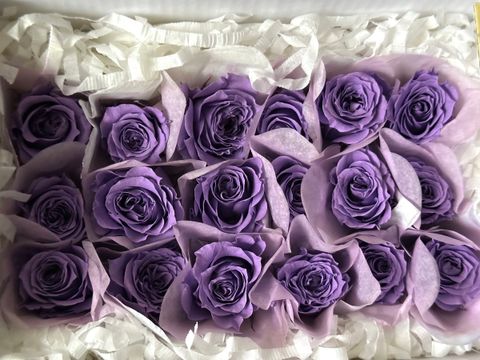 image_E1C12073-9129-4B4A-85DF-7A80C098525B_1766124442