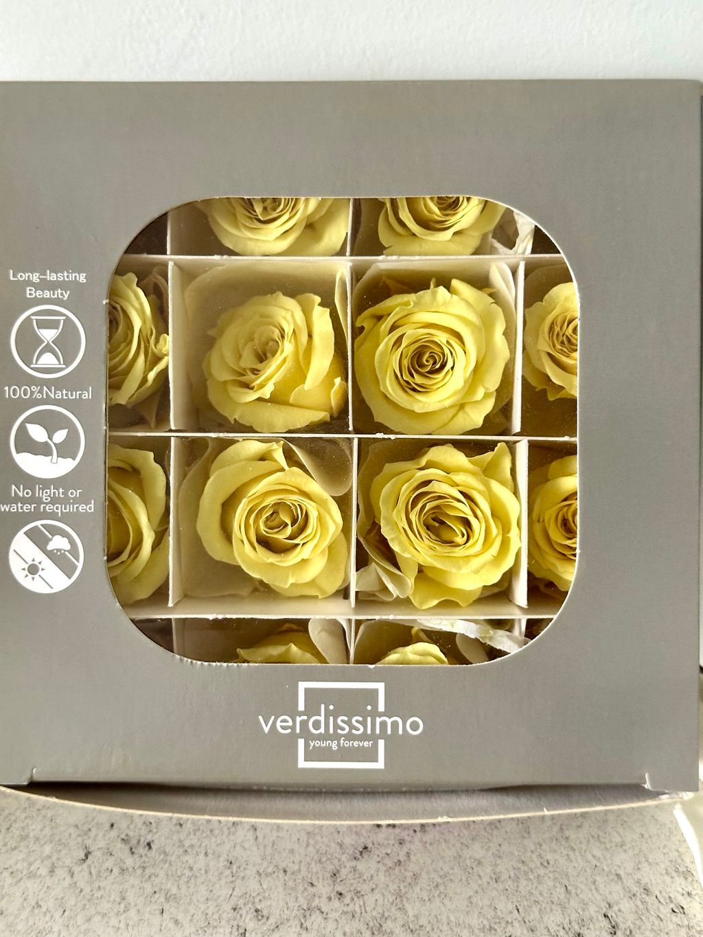 image_F59680E5-FE09-4E52-A9D6-3EE4E68B8B7F_1766125307