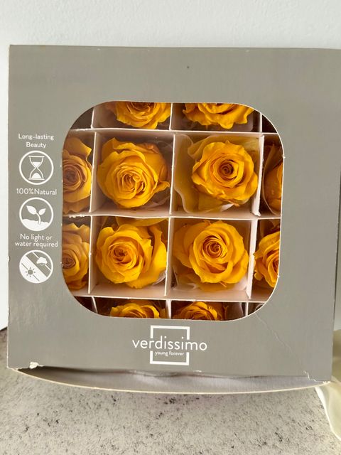 image_8D46D086-91F1-46A5-A182-3736870E0E94_1766125444