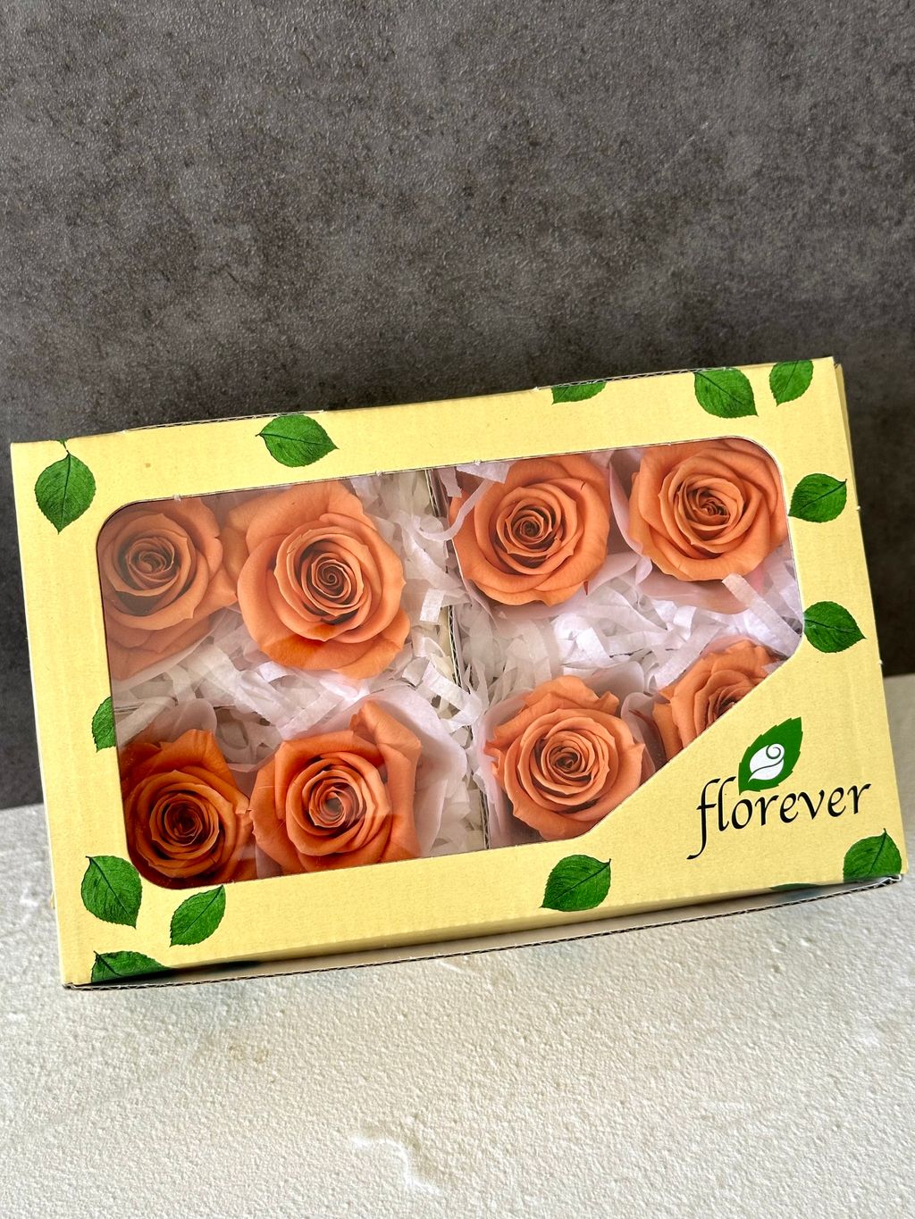 image_29CAFC94-920A-43DE-BF9D-F33EC6B6BA03_1766462714