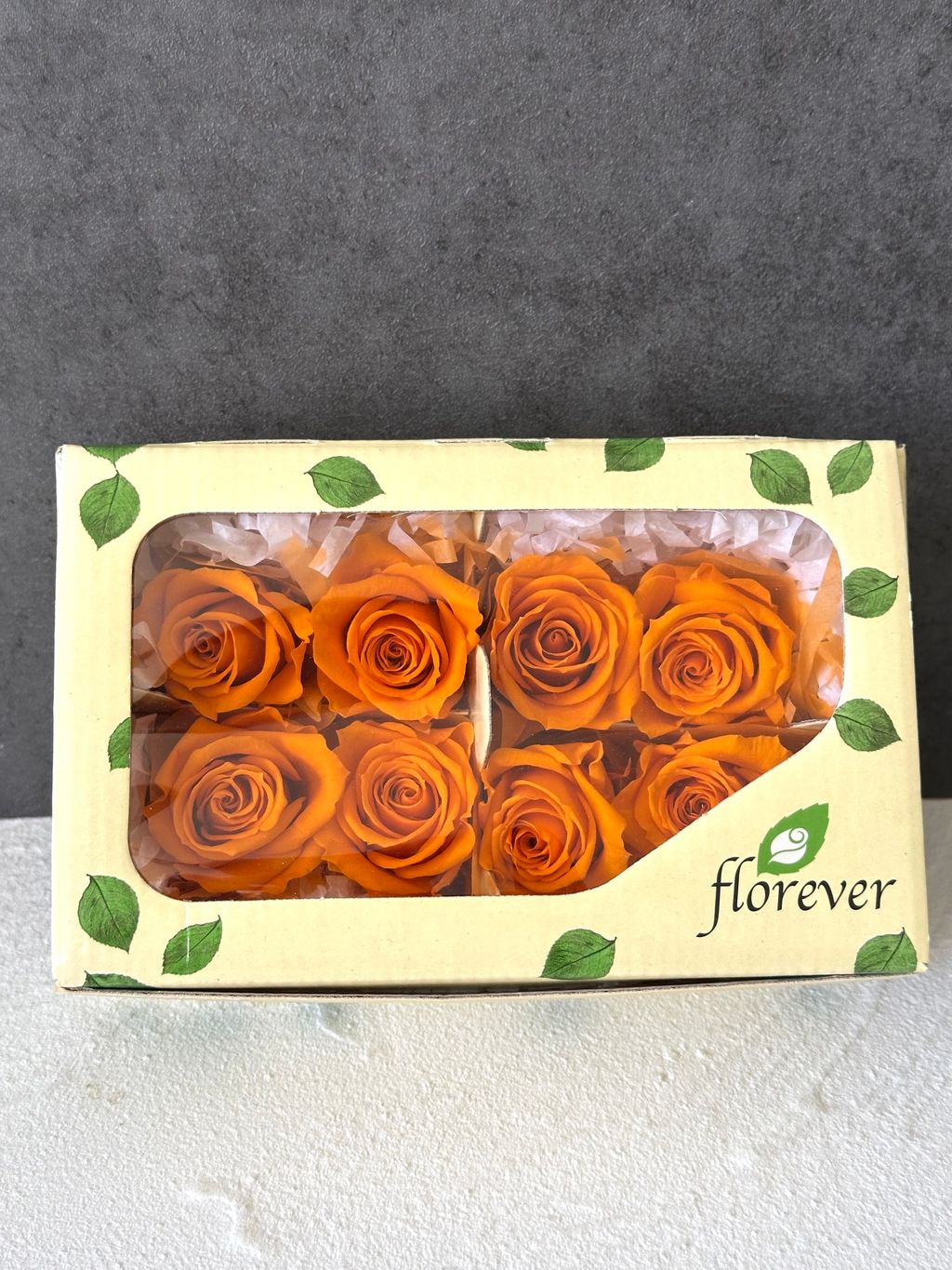 image_F6134DB5-98C6-449A-B3B5-57B2959999BA_1766462938