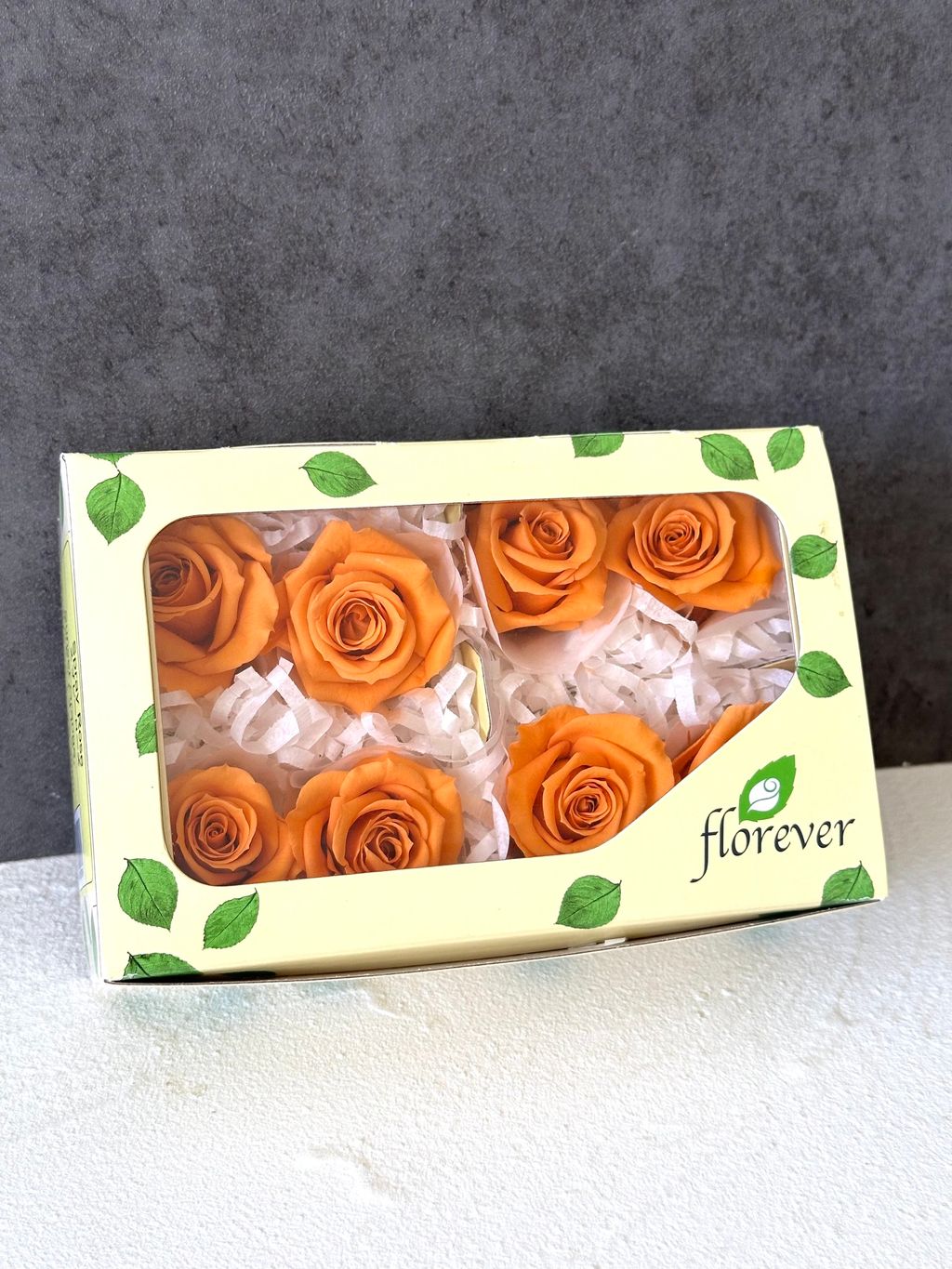 image_8A3B64A9-7D3F-4236-B063-8D397D16CF69_1766463025