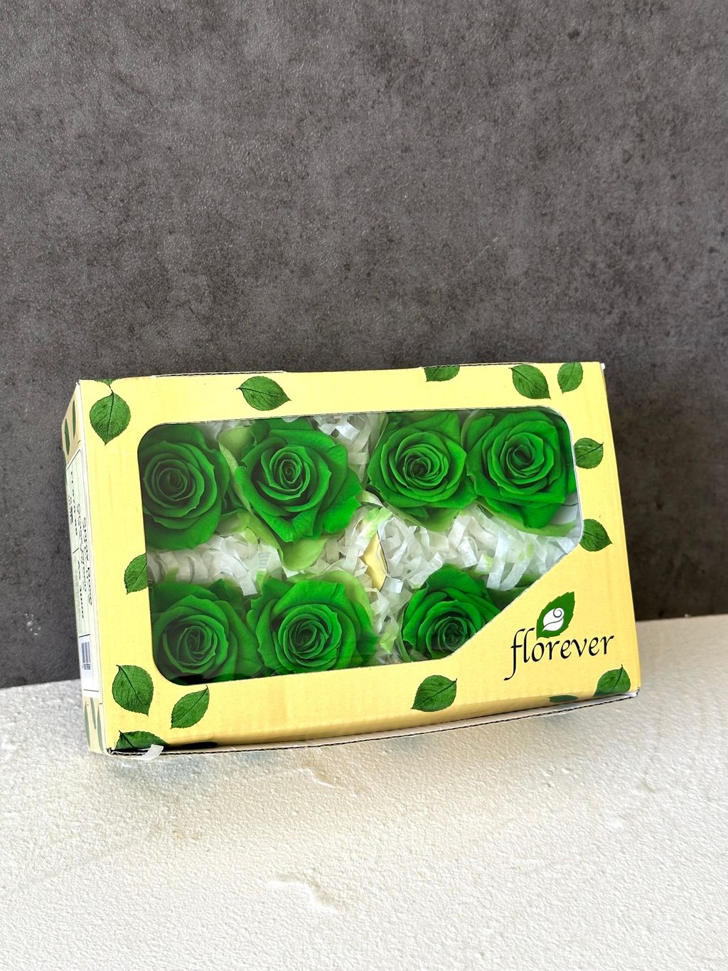 image_5245C50D-7A50-4DE5-BE27-86ED49EB1EBE_1766463185