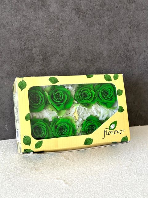 image_5245C50D-7A50-4DE5-BE27-86ED49EB1EBE_1766463185