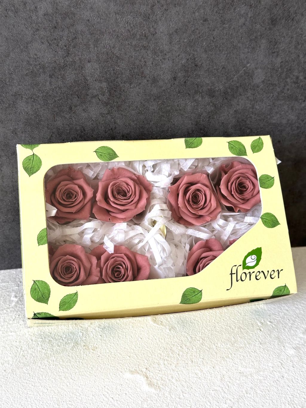 image_CA01419D-0AE9-42CA-98EC-19EEDB9591BB_1766463282