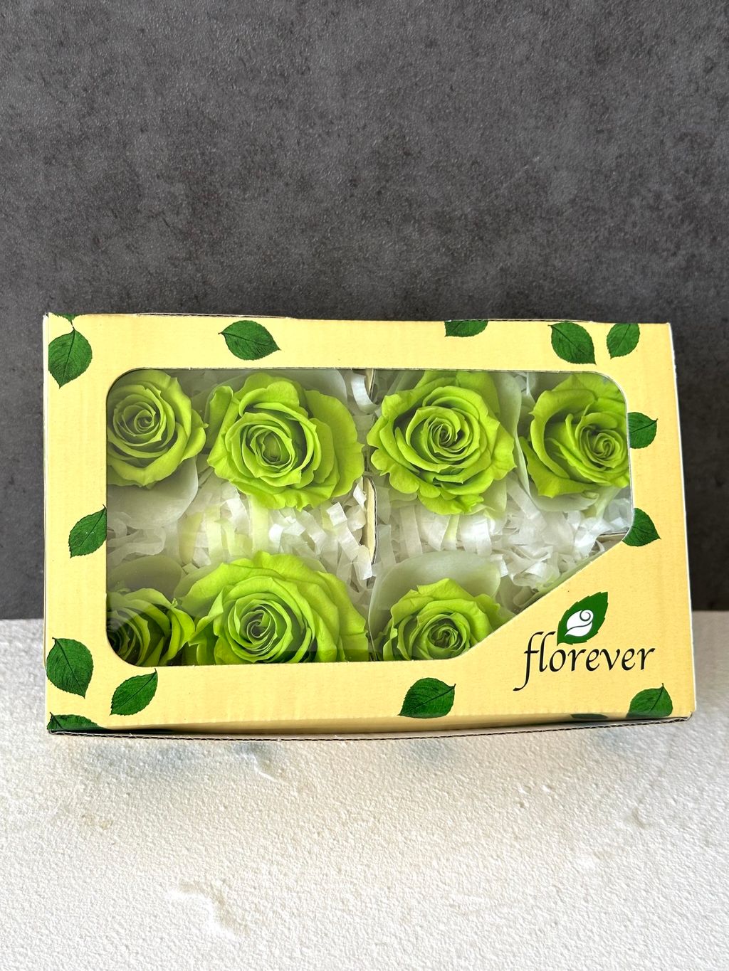 image_8D70B9F3-0DC8-4381-B155-7FDAB9584944_1766463396