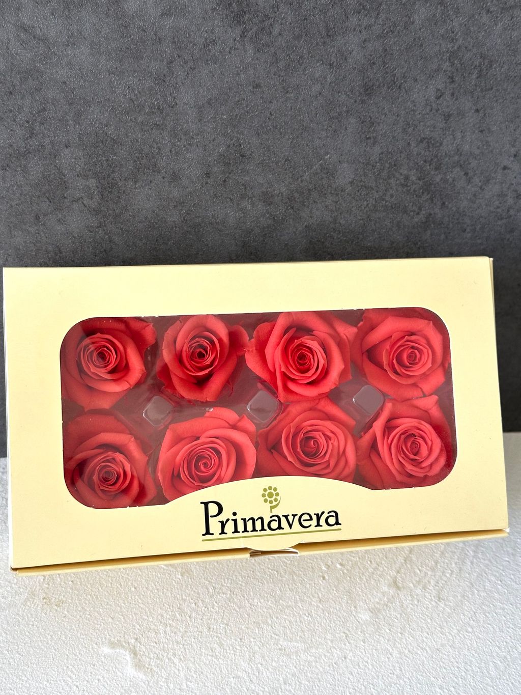 image_DFDE1802-8002-42F3-ADB8-A8B299036E6A_1766464107