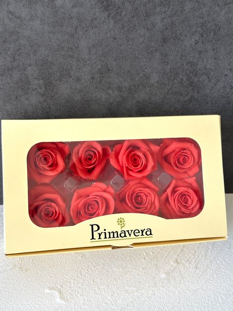 image_DFDE1802-8002-42F3-ADB8-A8B299036E6A_1766464107