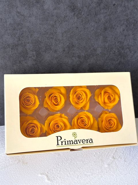 image_DB5DD3FD-2944-4296-9F20-9F8DDC63E826_1766464179