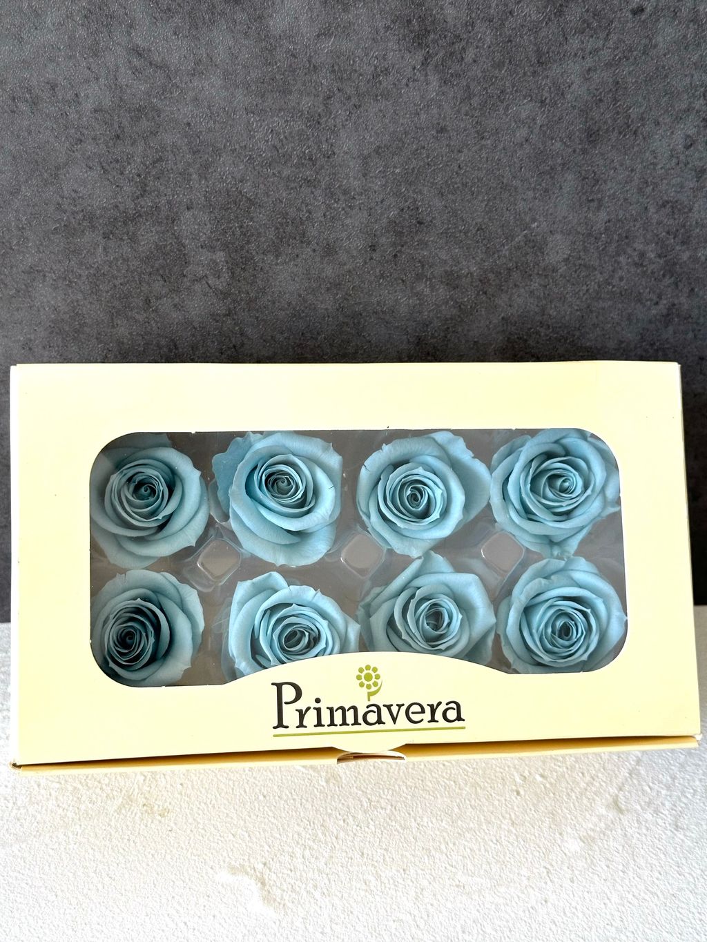 image_FF13E4B2-15DD-4192-8DCF-1CD8B701839C_1766464329