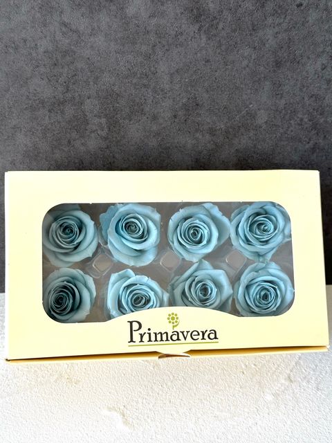 image_FF13E4B2-15DD-4192-8DCF-1CD8B701839C_1766464329