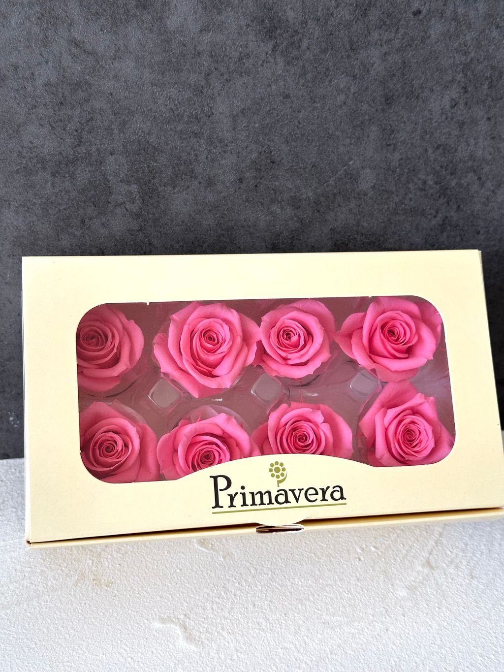 image_C4C840E7-3F05-48A8-8DCA-0F53AAD36C0A_1766464431