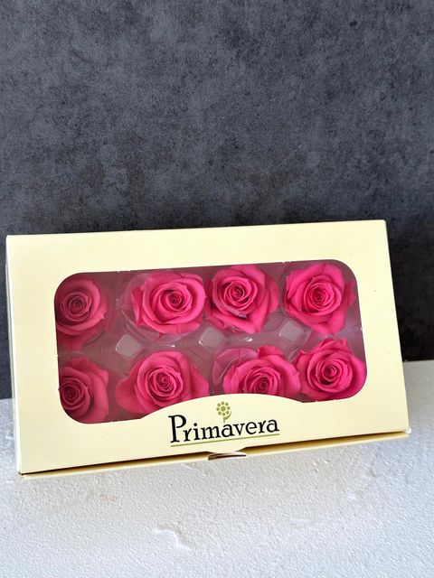 image_05966FE2-0B10-4823-9E97-942B83D50448_1766464527