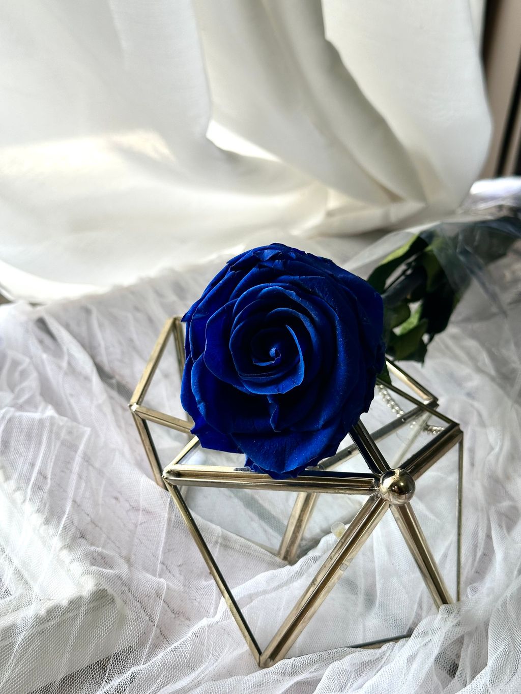 image_7FF298C9-4273-4790-95DF-146322A2B9C9_1766991427