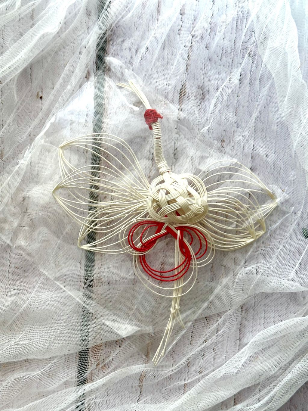 image_C1379D56-0181-4407-A42B-C5233ECECAF1_1766992339