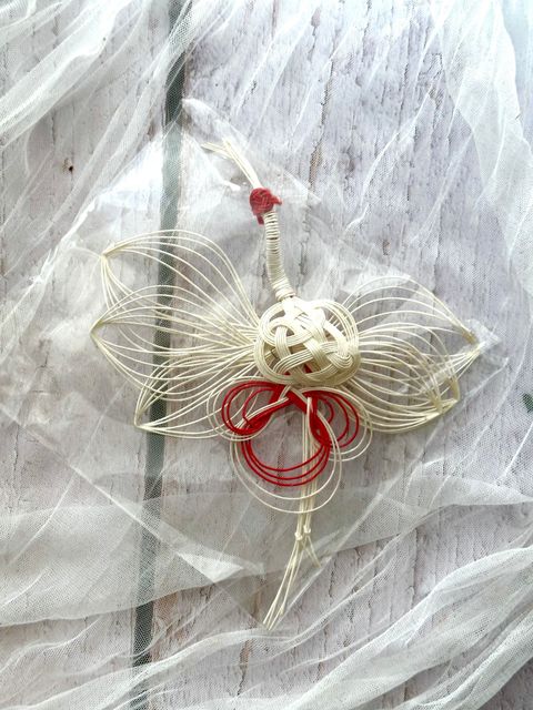 image_C1379D56-0181-4407-A42B-C5233ECECAF1_1766992339