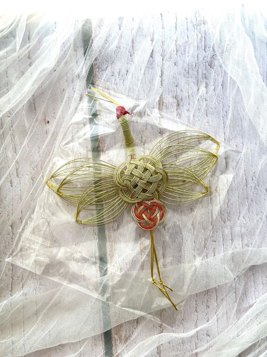 image_42AA87E3-08C0-40FC-AA74-C57038A1EBA4_1766992377