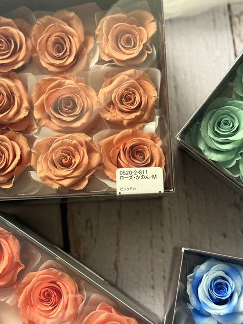 image_5E283F08-9DAA-4810-9EB7-684C2645C4F1_1767339036