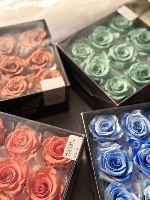 image_B9D34A8D-1FE5-4F0F-B09F-7E7DC0C25BC0_1767339056