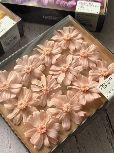 image_C838C67B-5E13-4DE2-BFE7-59BA909C8278_1767339379