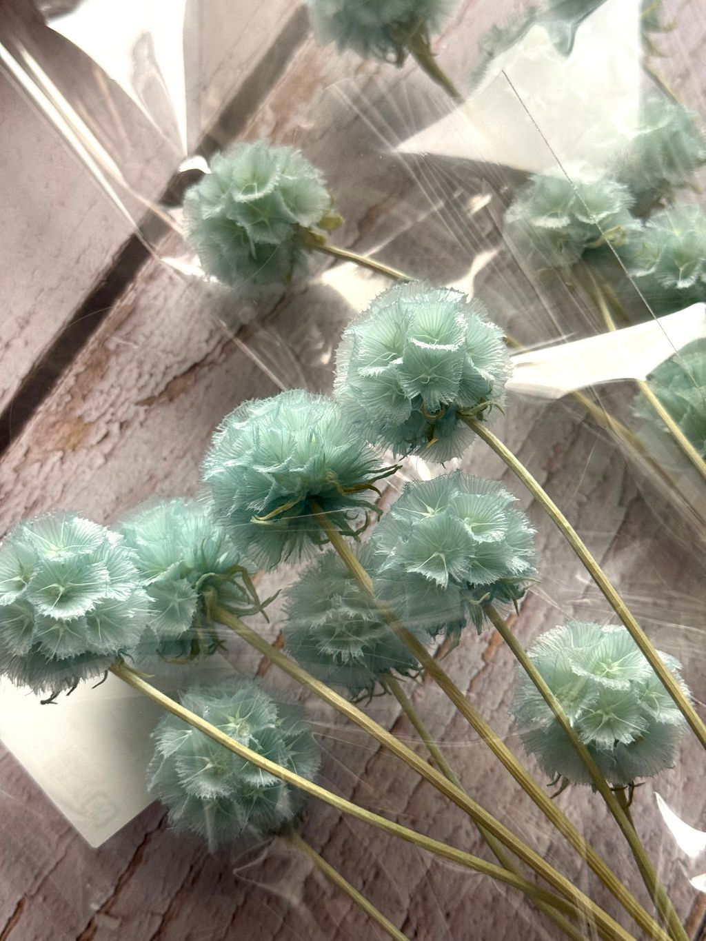 image_94BE9DA6-B28A-4145-AFE4-122FD6548476_1767350923