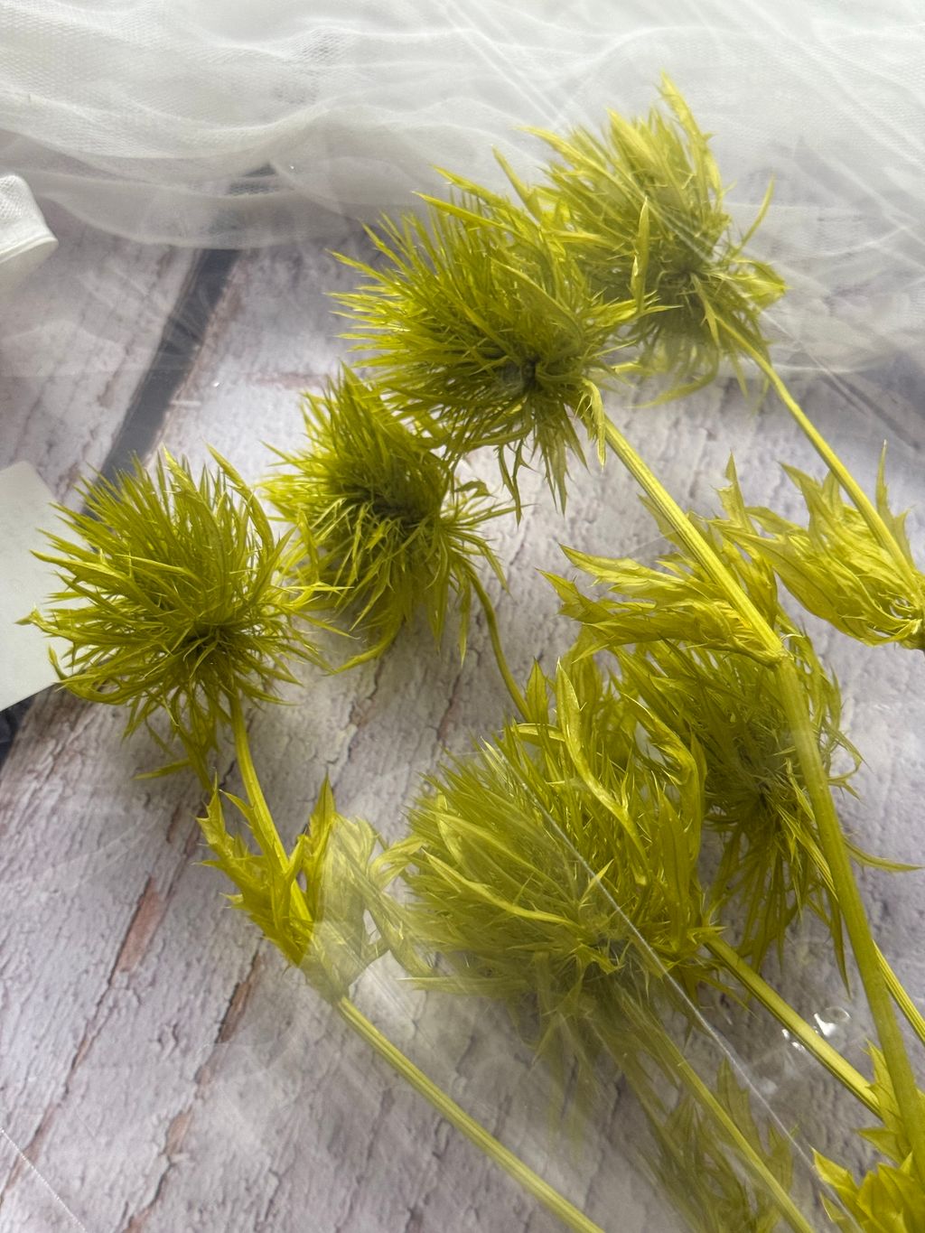 image_BFE8638B-32F0-4C38-AB92-DBCDECAD54ED_1767350950