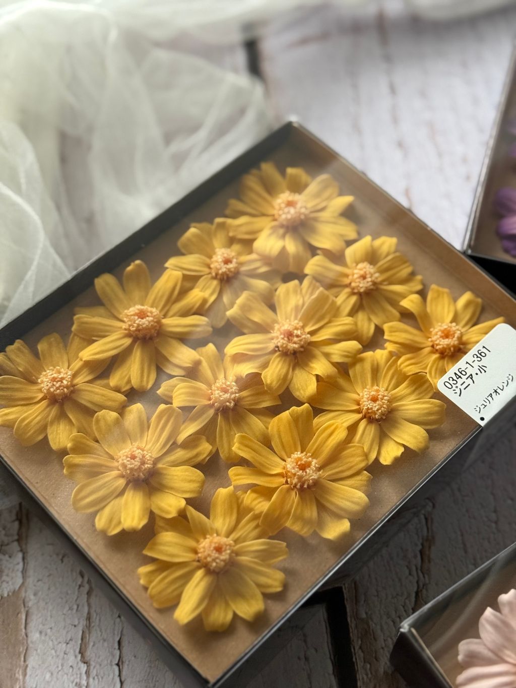 image_4B9834D4-23CF-409D-B69A-22AF3BFBAFBA_1767350976