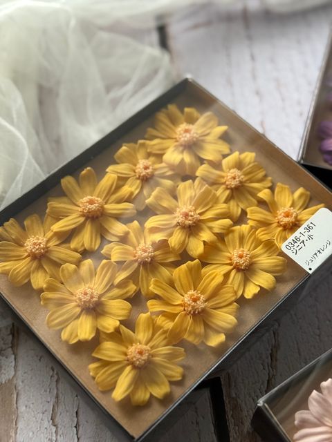 image_4B9834D4-23CF-409D-B69A-22AF3BFBAFBA_1767350976