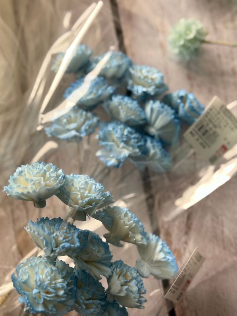 image_9C3716A4-D5F8-4A64-8884-4A1BFEDB43C8_1767351287