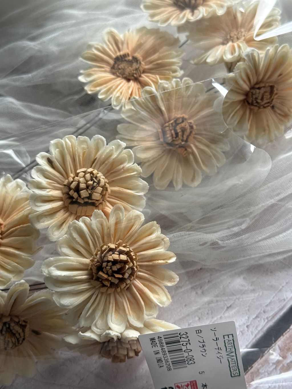 image_CA95D897-8FDE-430F-9E49-7F4CDA21B2BE_1767352781