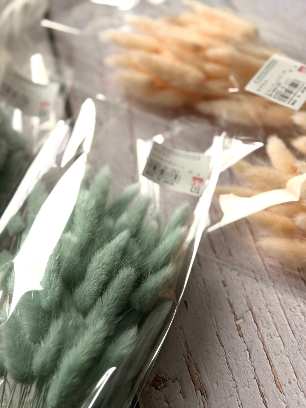 image_BCE8A90E-230E-4433-9086-DA4280D9D2AC_1767352891